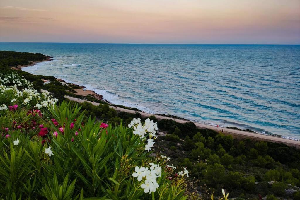 Apartamento Recien Reformado En Primera Linea Con Vistas A La Playa De La Almadraba بينيكاسّين المظهر الخارجي الصورة